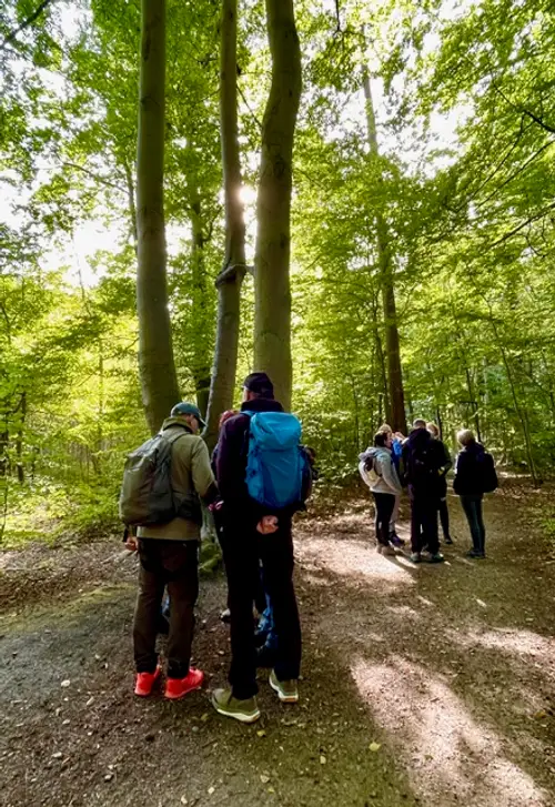 Waldbaden & Achtsamkeit – Fokus, Natur und gemeinsames Erleben - Bild 1