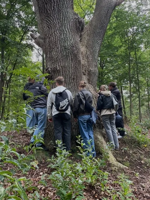Waldbaden & Achtsamkeit – Fokus, Natur und gemeinsames Erleben