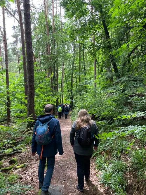 Waldbaden & Achtsamkeit – Fokus, Natur und gemeinsames Erleben - Bild 3