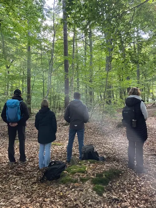 Waldbaden & Achtsamkeit – Fokus, Natur und gemeinsames Erleben - Bild 4